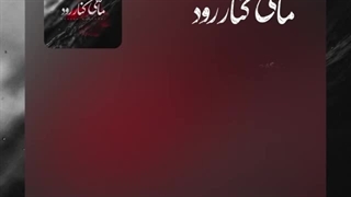 دانلود آهنگ جدید محسن چاوشی به نام ماهی کنار رود