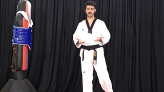 ضربه بروسلی