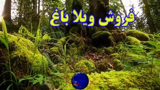 املاک شاندرمن 95 - خرید و فروش املاک و اجاره کلبه چوبی ییلاقی - #املاک_شاندرمن
