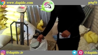 بررسی کیفیت سیاه دانه بوجاری شده داپیدو در کارگاه بوجاری