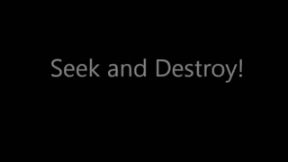 seek & destroy