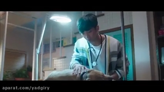 سریال روباه نه دم قسمت۶دوبله فارسی