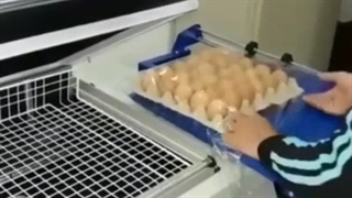 دستگاه شرینگ کابینی  | ویستا پک