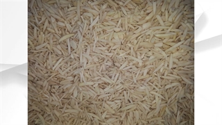 خشکبار قائمی در قزوین