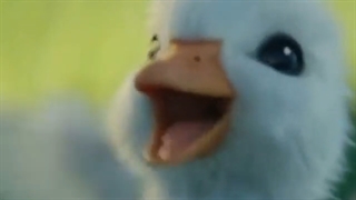 کلیپ ارزوی جوجه اردک کوچولو