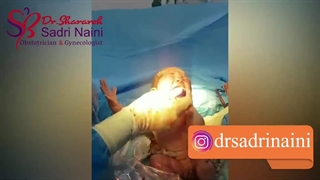 شاهان پسر گلم زمینی شدنت مبارک