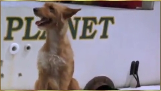 مهربانی در طبیعت