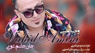 دانلود آهنگ جدید وحید امینی جان جانم تویی