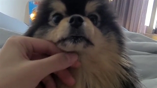 یوناتان(TAEHYUNG)