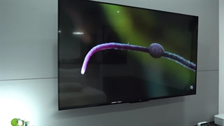 تلویزیون شیائومی L55M6-6AEU