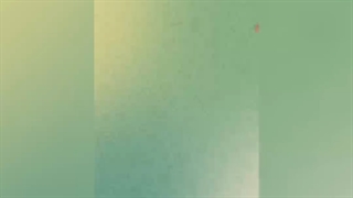 با انجام یه کار ساده , یه میلیارد از این توکن جنجالی بدست بیار و پولدار شو!!