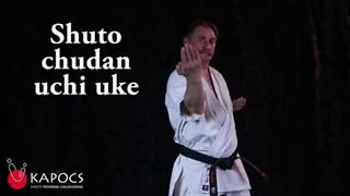 Shuto Chudan Uchi Uke
