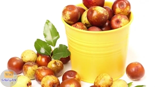خواص عناب- همه خواص عناب را در 2 دقیقه ببین