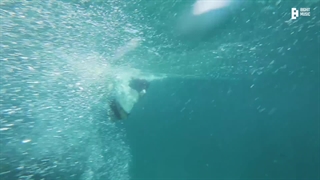 ولاگ شوگا Suga tour vlog in phuket PreSS همراه با زیرنویس فارسی