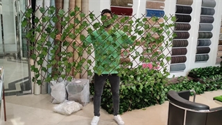 ریسه برگ آکاردئونی تراکم استاندارد