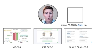 level of organization