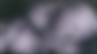 بارداری (دوقلو) با آی وی اف