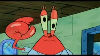 باب اسفنجی جدید