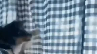 وقتی دعوا میشه همسایه ها