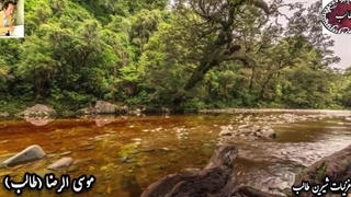 نماهنگ بسیار دلنشین و جذاب از غزل ناب سکوت استاد غزل م.طایفی(طالب) با آوای عاشقی شاعر