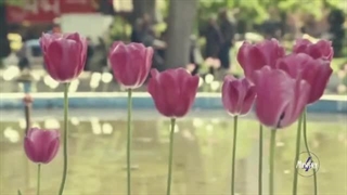 Emad Ghavidel - Rasht O Anzali