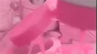 خوراکی کیوت