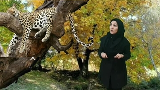 آوا صدای ی/مرجان چرخی