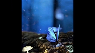 وایب رنگ آبی ولی :>