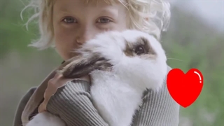 دوست شدن با خرگوش - خرگوشت رو عاشق خودت کن