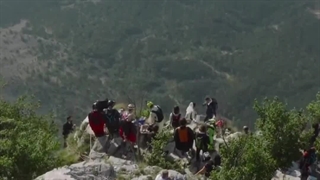 پیوند و پرواز