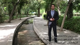 از ایده تا برند شدن شرکت تخصصی شاهزاده حمزه