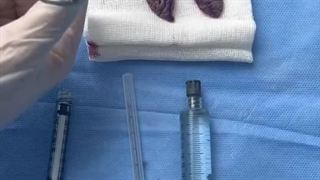 لبیا پلاستی