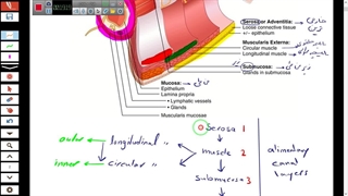 فیلم تدریس زیست آیمت-IMAT-مبحث گوارش-دکتر مهدی محمد حسین زاده جراحی گوش