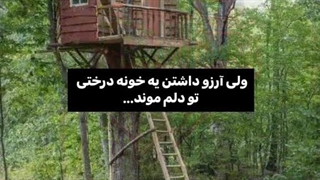 tree house+ کپ