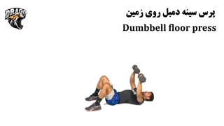 آموزش کامل پرس سینه دمبل روی زمین | تمرین سینه و پشت بازو در خانه