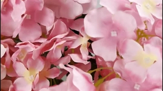 بوته گل مصنوعی هورتانسیا ۵۰ سانتی‌متری | در ۴ رنگ‌بندی متنوع پارچه‌ای 