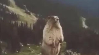 آزاااااد شدمممم...بیاین مشتلوق بگیرین :خنده: