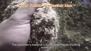مورد مشتری: خط تولید چوب پلت با خروجی کل ۱۸-۲۴ تن در ساعت
