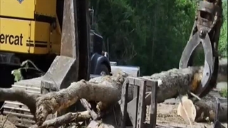 چوب بران باتلاق 8 اسفند 1402