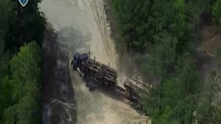 چوب بران باتلاق 13 اسفند 1402