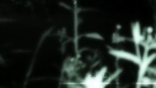 "سـلـام‌مـنـم‌دوبـاره"