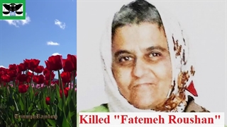 193B) کلیپ ویژه ناخدا یکم سرهنگ پاسدار محمد جواد ابراهیمی درباره معرفی قاتلان جدید در قتل وحید تقی زاده و سعید کرامت - 1404.4.2