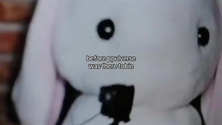 اعضا قراره توی این فول آلبوم سولو بدن! توضیحات تو کپشن