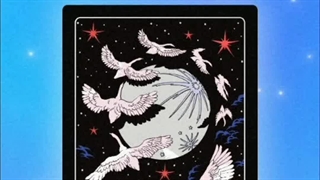 ★—͟͟͞͞          STAR CARD