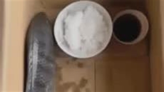 کمک کنید ماهی خونگیم غذا نمیخوره